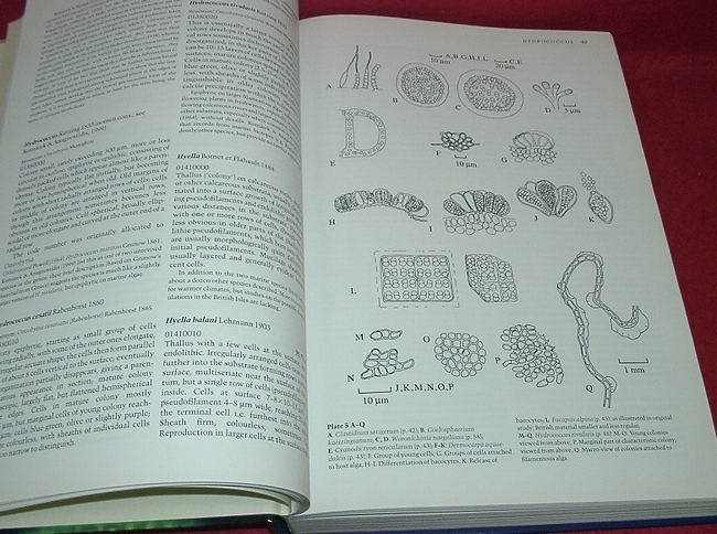 ☆The Freshwater Algal Flora of the British Isles/イギリス諸島の淡水藻類フローラ(洋書-英語)☆ (○管 =y-23) - 生物学 ☆The Freshwater Algal Flora of the British Isles/イギリス諸島の淡水藻類フローラ(洋書-英語)☆ (○管 =y-23) - 生物学