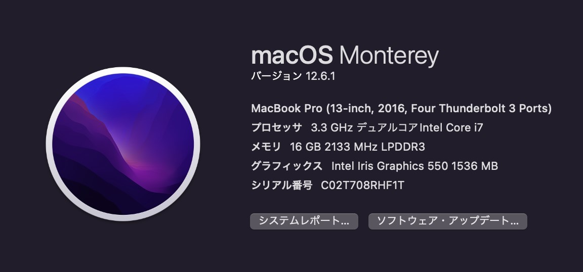 ☆本体のみ Apple MacBookPro 2016 13.3インチ シルバー i7-6567U 3.3GHz 16GB 1TB リカバリ済 ☆_画像8