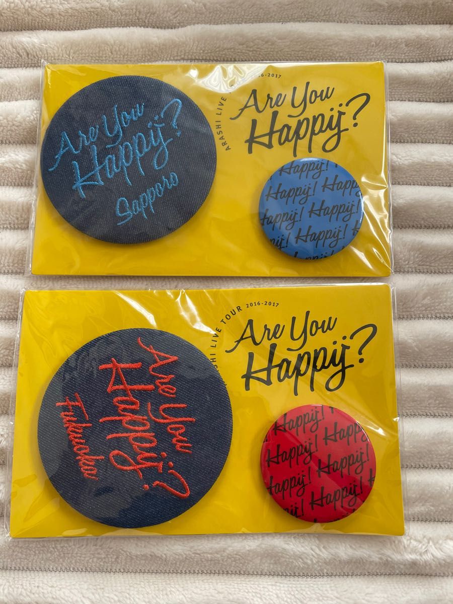 嵐ARASHI LIVE TOUR 2016 Are You Happy?会場限定 缶バッジ 青 札幌 大野智　赤　福岡　櫻井翔