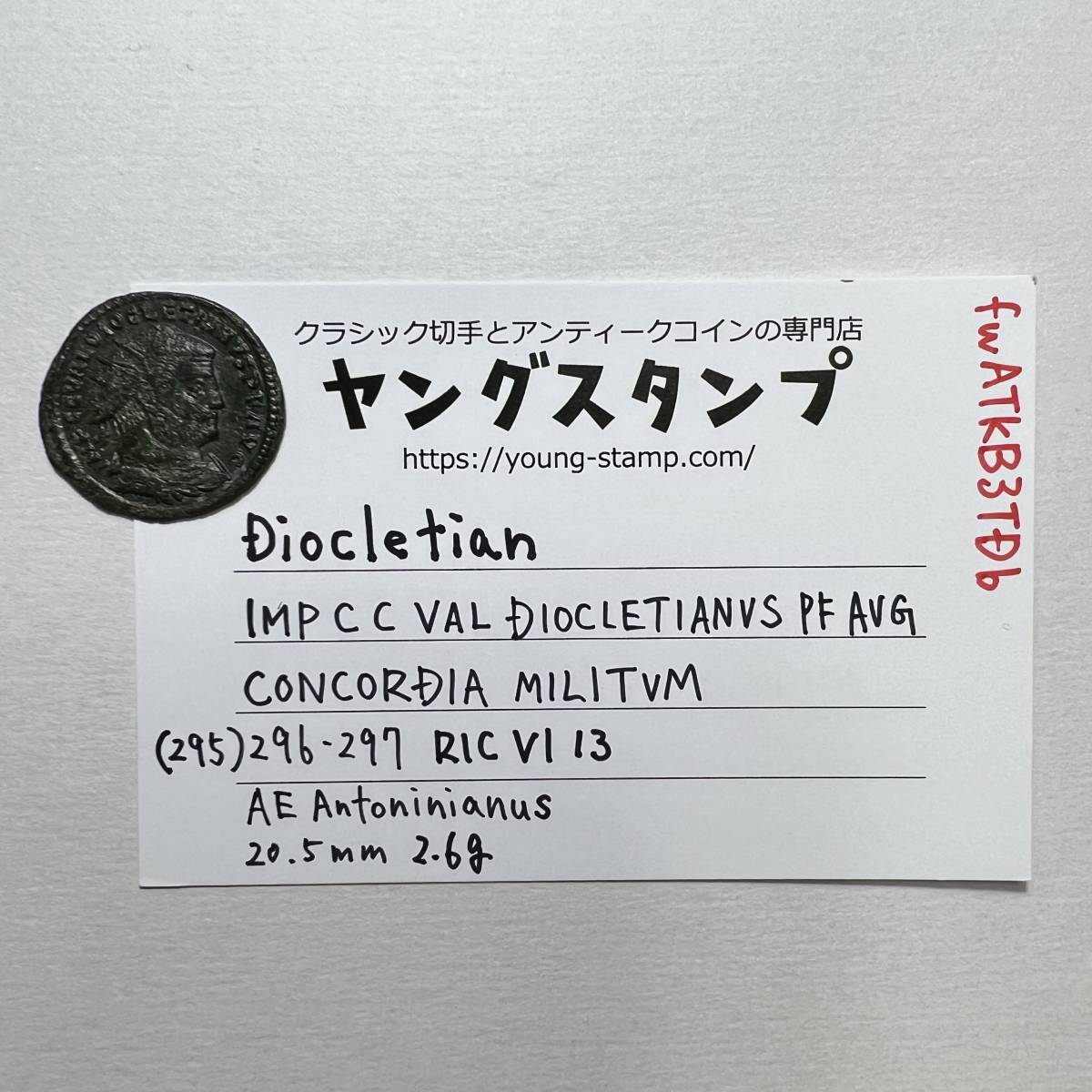 【古代ローマコイン】Diocletian（ディオクレティアヌス）クリーニング済 ブロンズコイン 銅貨(fwATKB3TDb)_画像10