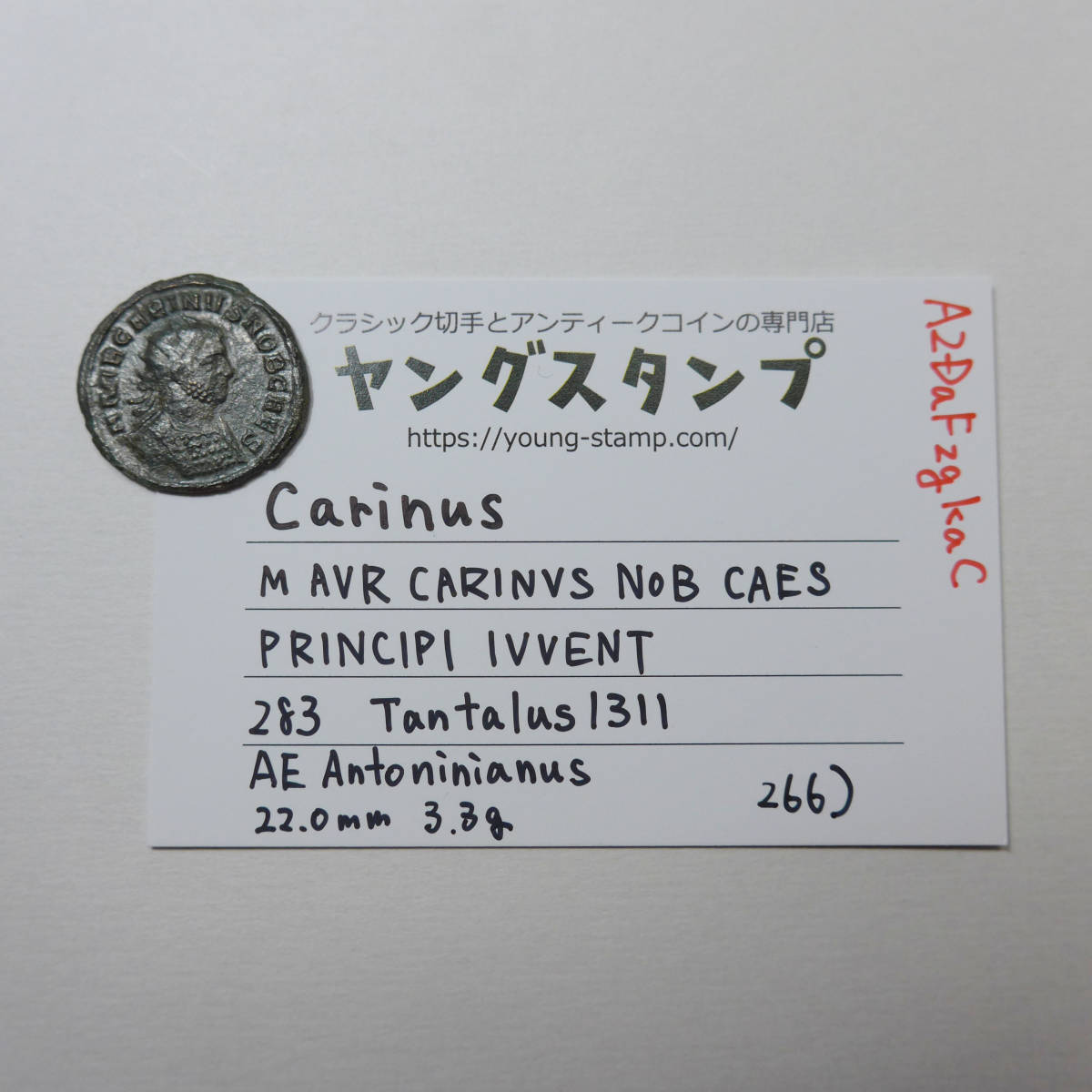 【古代ローマコイン】Carinus（カリヌス）クリーニング済 ブロンズコイン 銅貨(A2DaFzgkaC)_画像10