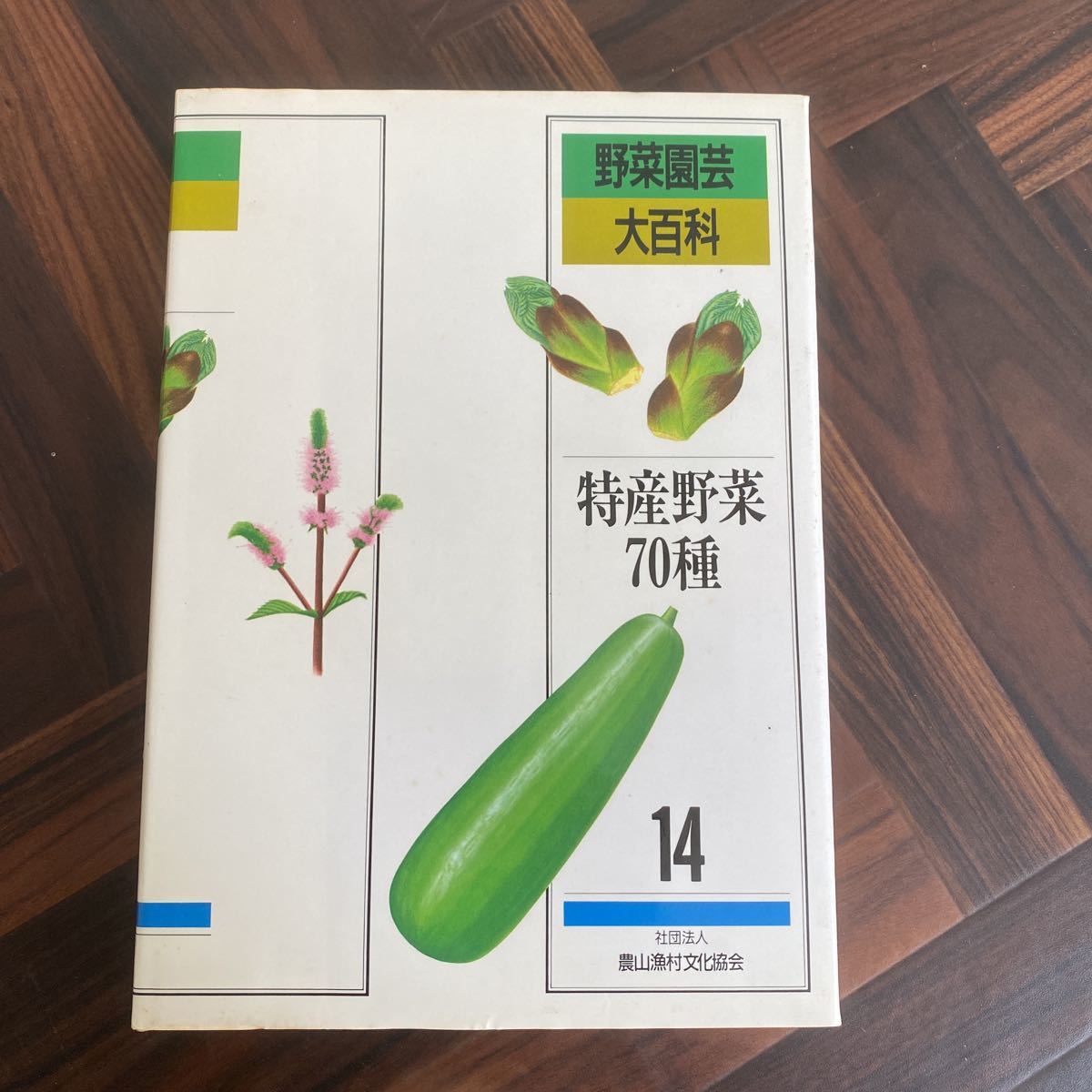 A73 野菜園芸大百科　10冊セット　農文協　トマト　　キュウリ　メロン　ジャガイモ　ネギ等　色々　まとめて　農園　農業