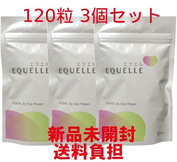 HOT限定SALE】 大塚製薬 - 大塚製薬 エクエル パウチタイプ 120粒 × 3