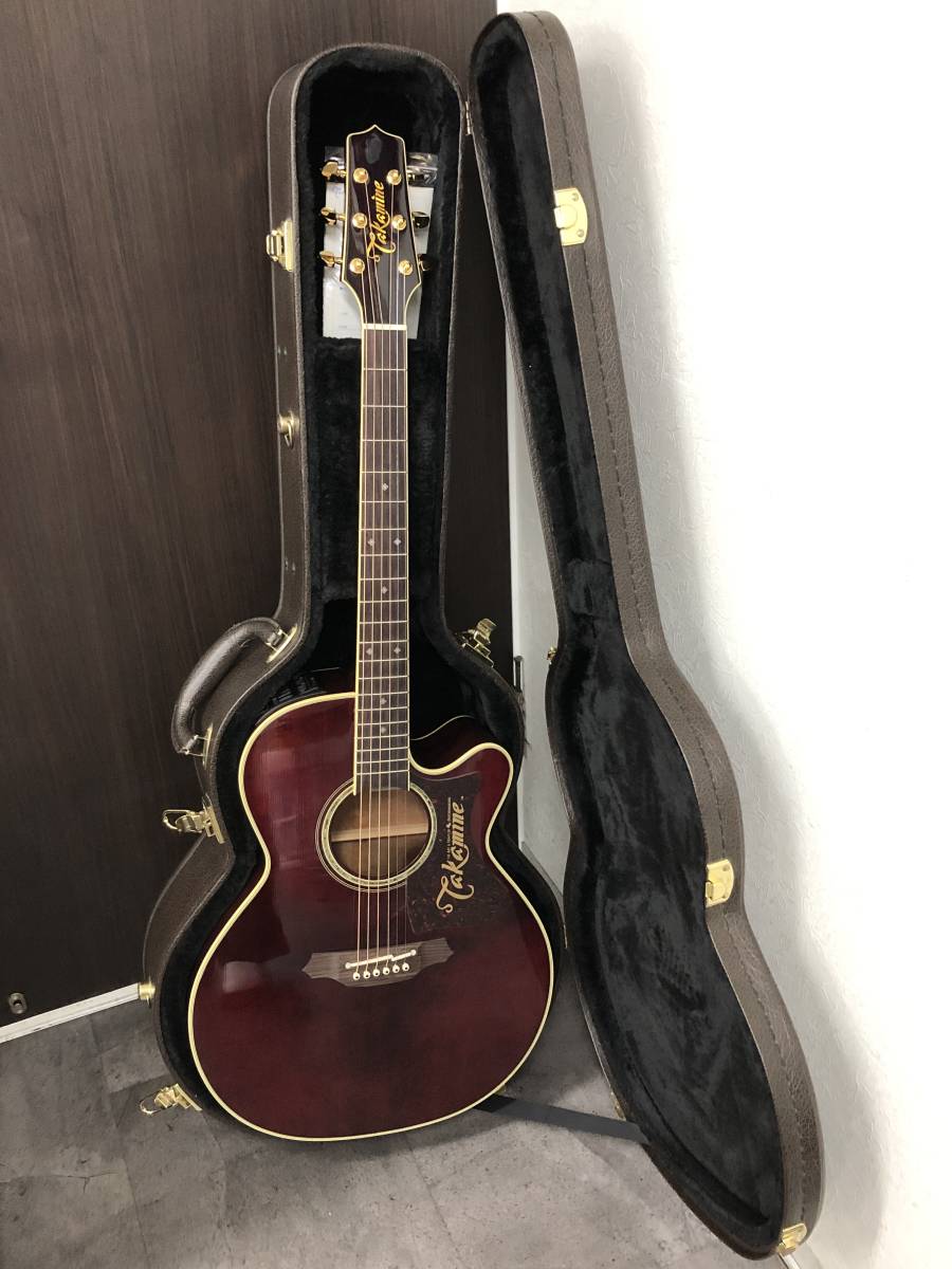ボタニカル ミディアムベール TAKAMINE DMP551C WR ギター エレアコ