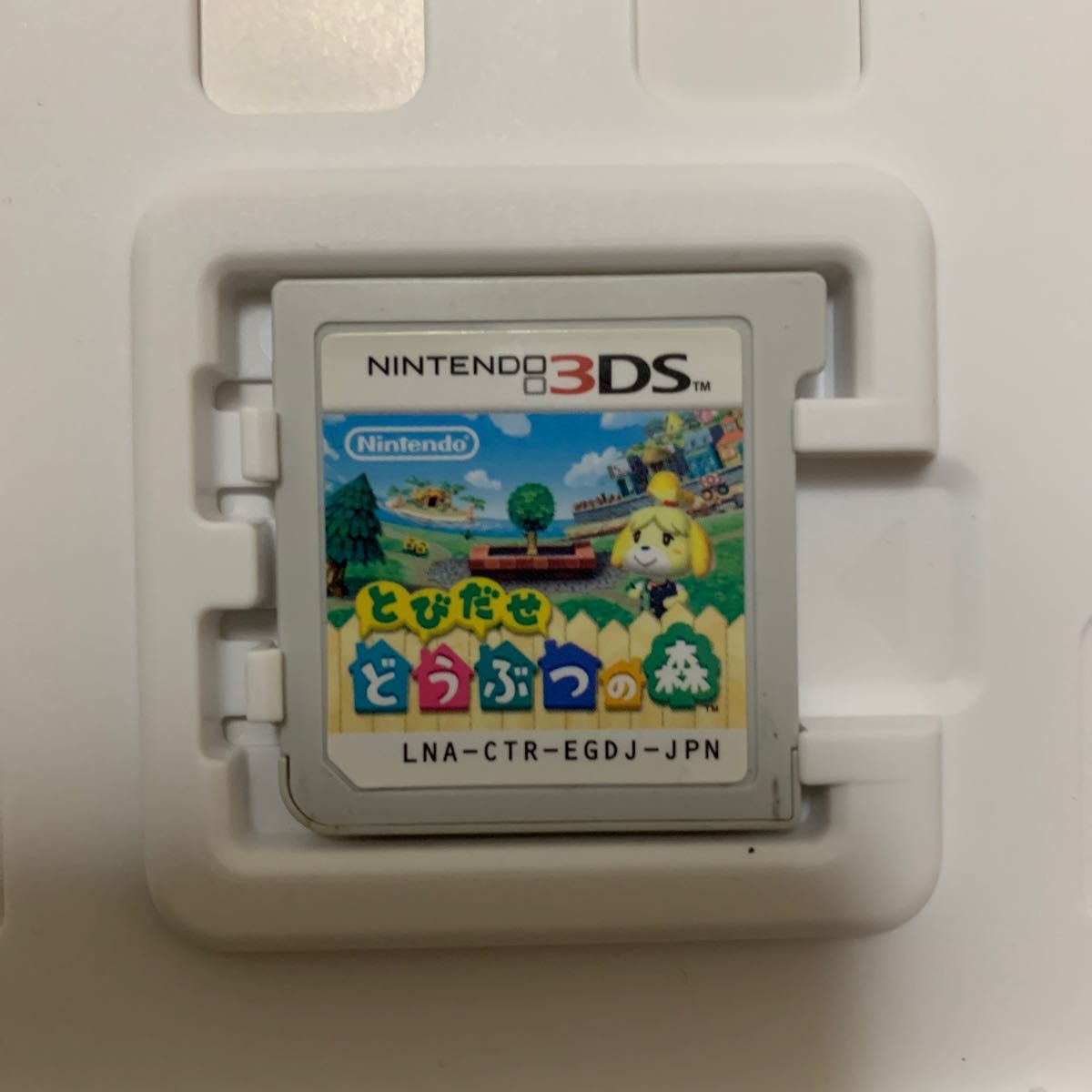 任天堂 3DSソフト とびだせどうぶつの森