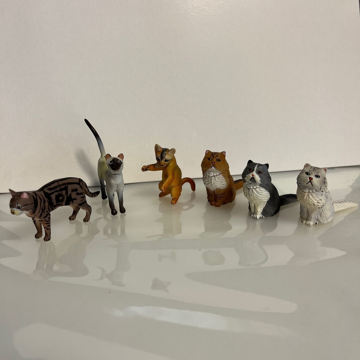 チョコエッグペット動物コレクション 猫セット匿名配送 - 通販