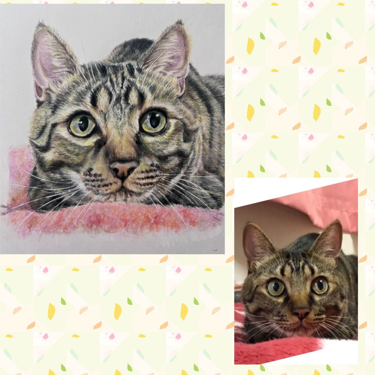 オーダー可　手描き　原画　イラスト　色鉛筆画　パステル画　ペット　動物　ねこ　猫　犬　プードル　似顔絵　肖像画　