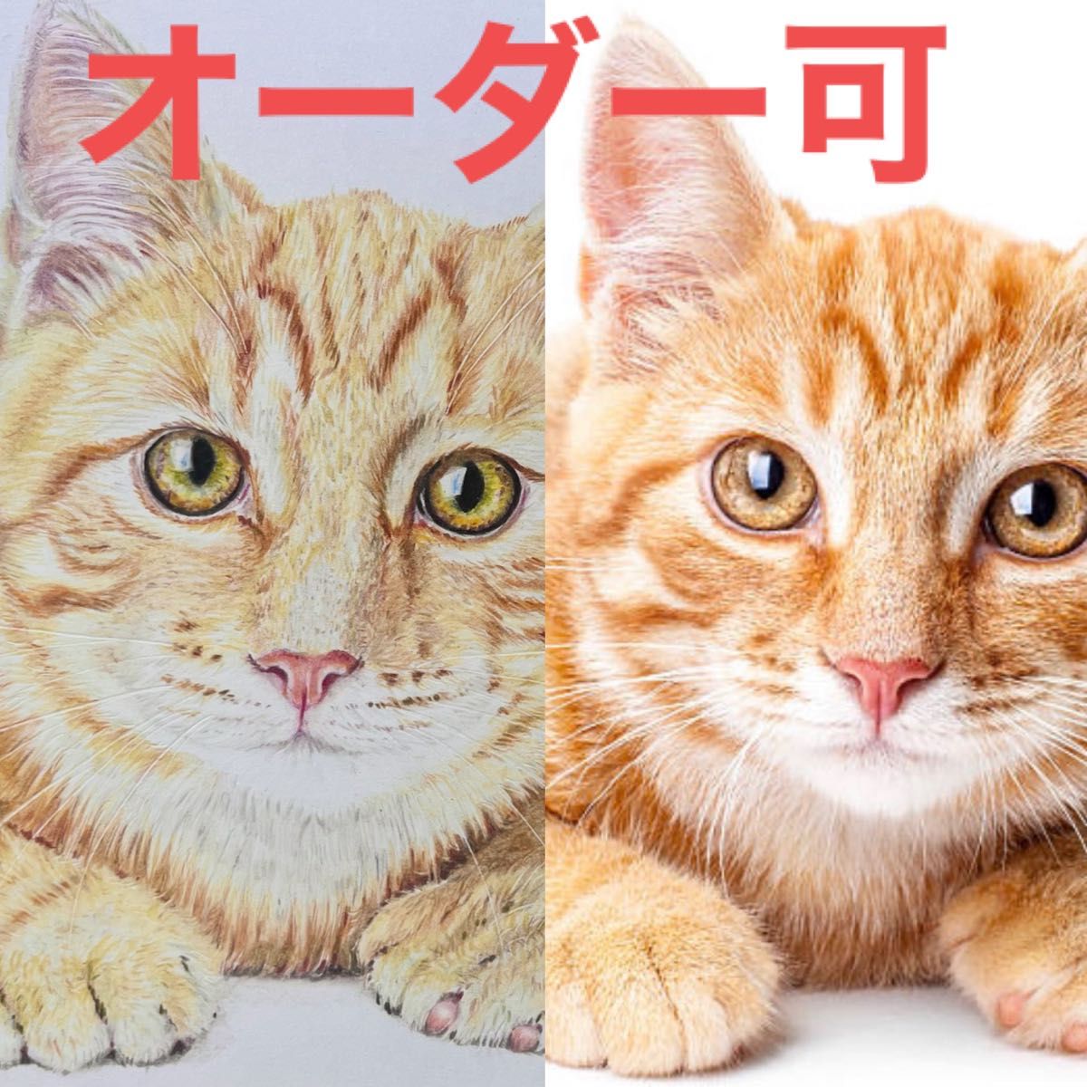 オーダー可　手描き　原画　イラスト　色鉛筆画　パステル画　ペット　動物　ねこ　猫　犬　プードル　似顔絵　肖像画　