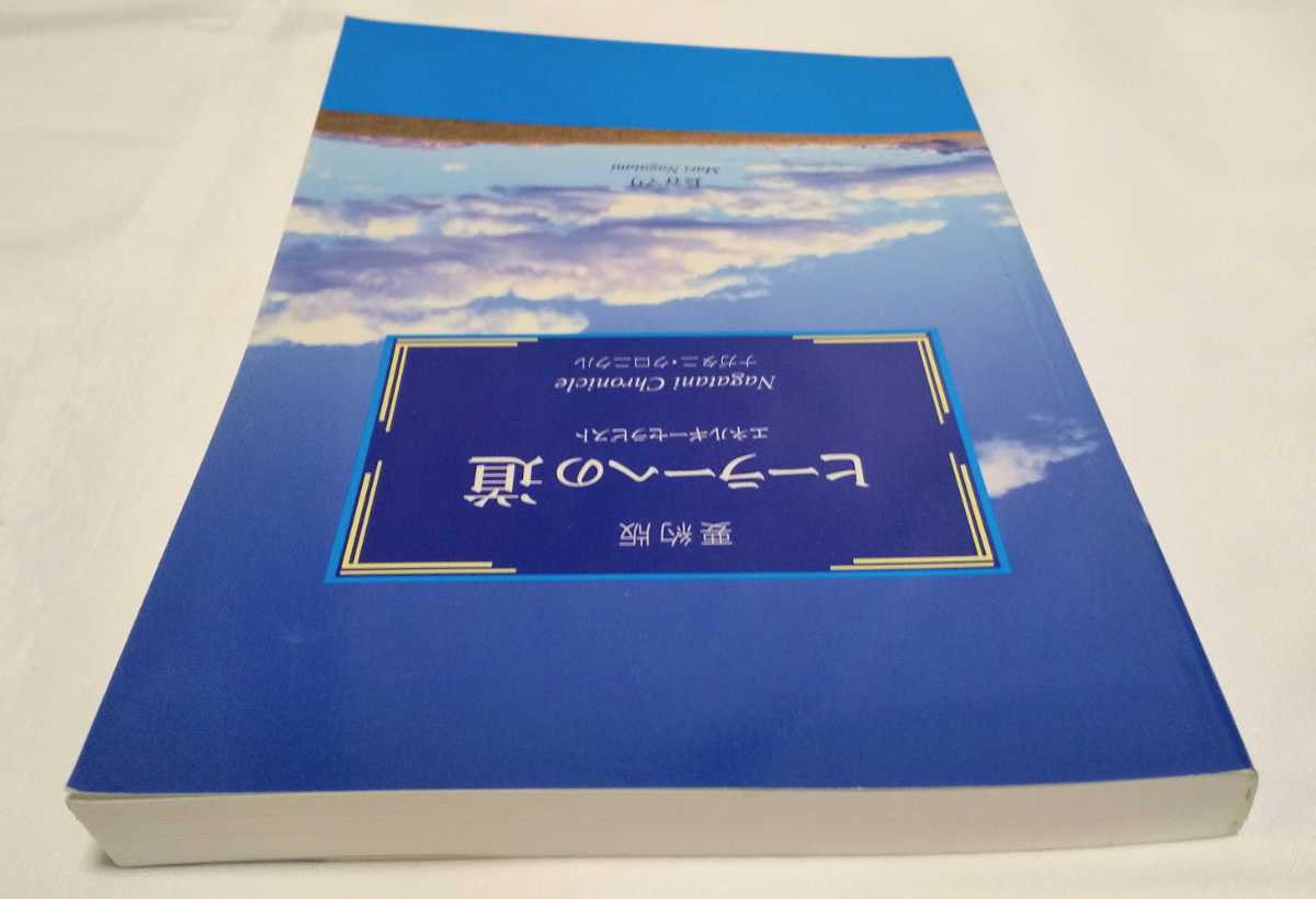 美品 ヒーラーへの道 要約版 ナガタニクロニクル エネルギーセラピスト レイキ ヒーリング_画像5