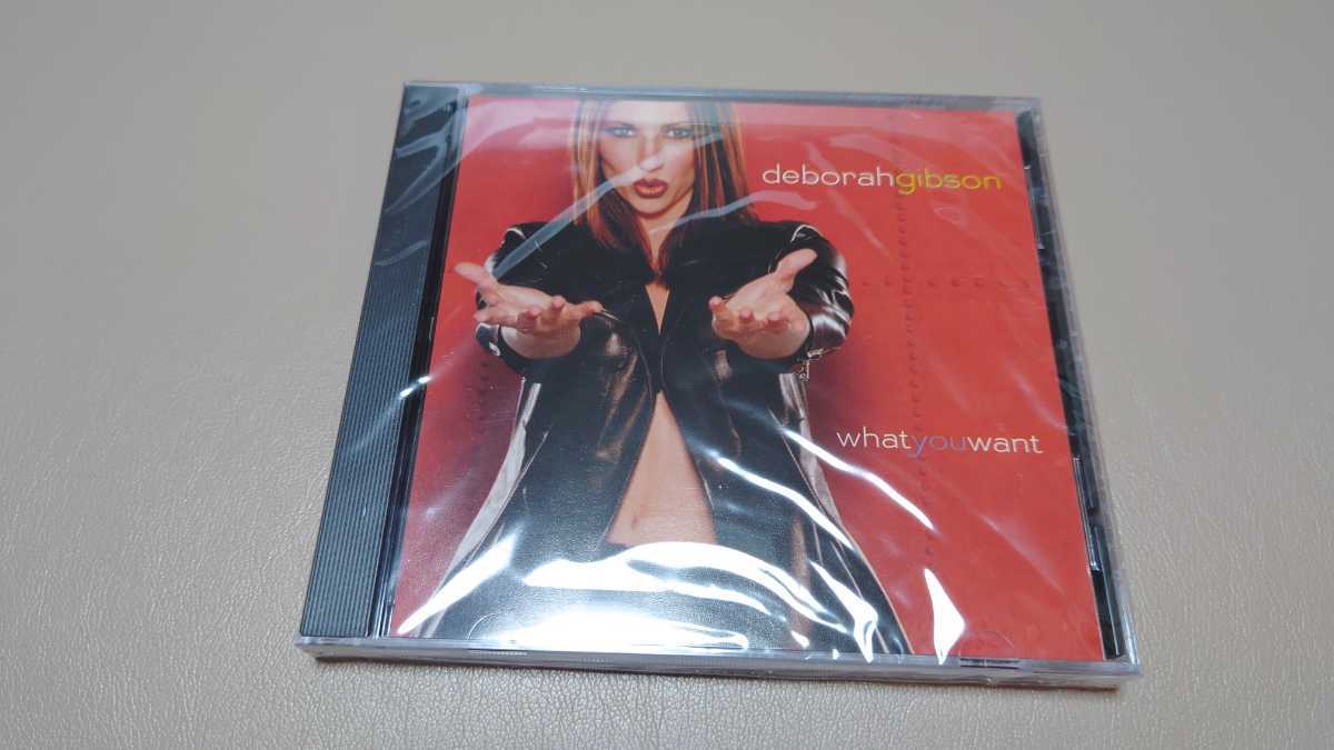 デビー・ギブソン　CD What you want 輸入盤　シングル　新品未開封_画像1