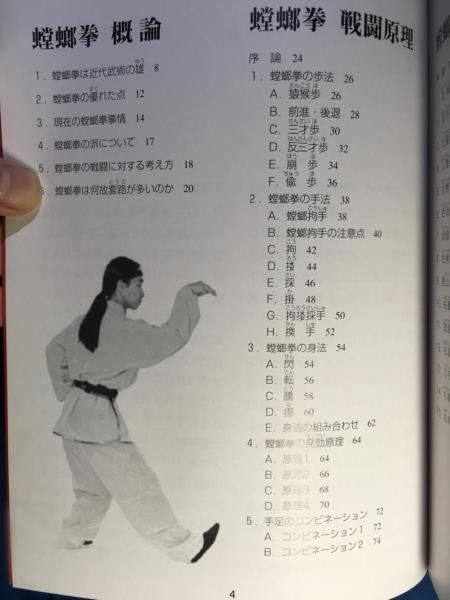 螳螂拳 戦闘理論 特殊な戦闘原理を極める 青木嘉教 愛隆堂 4750202258 猿猴歩 崩歩 左挿掌 右補捶 封統捶 低牽勢 取眼撩陰腿 太陽穴_画像3