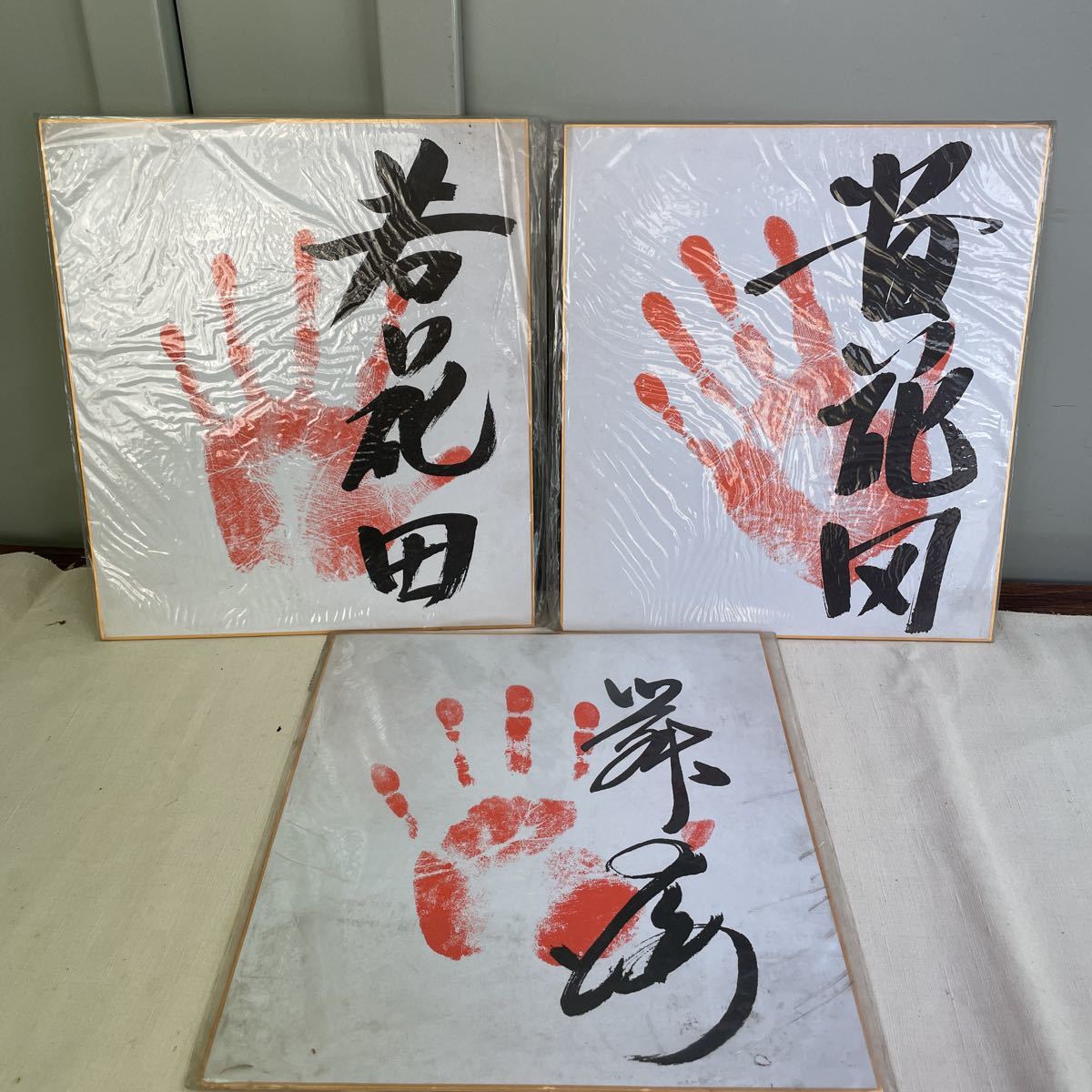 日/祝も発送 若乃花、貴乃花の若き!若花田、貴花田 サイン色紙