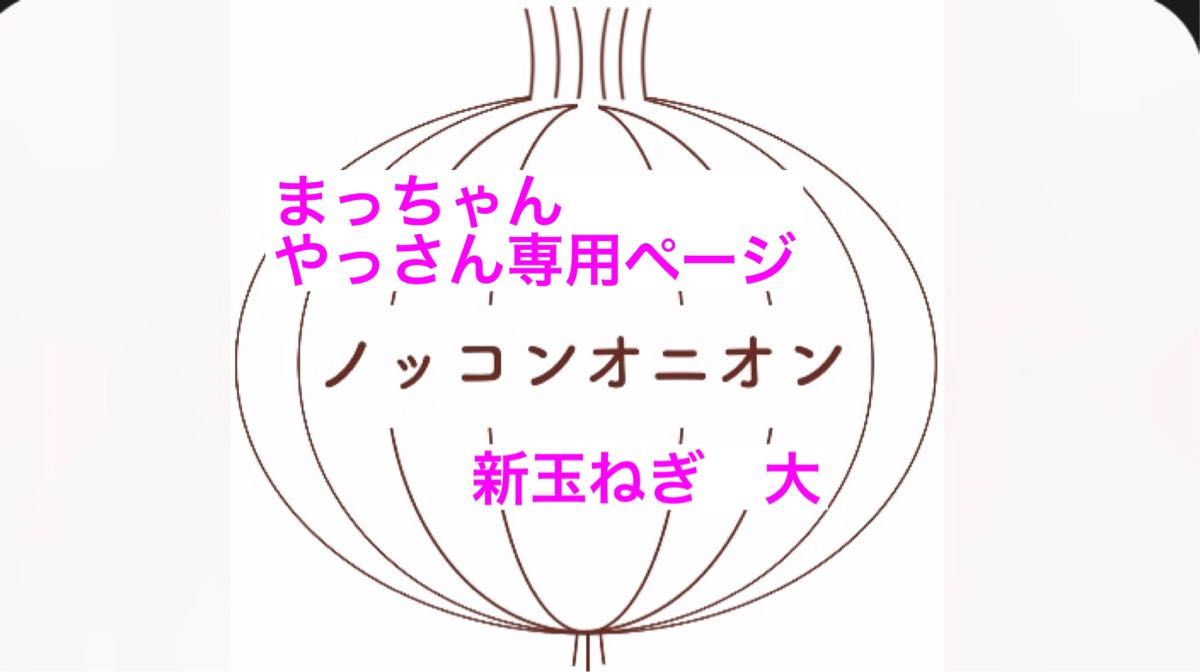 まっちゃん】【やっさん】専用ページ 新玉ねぎ 大｜PayPayフリマ