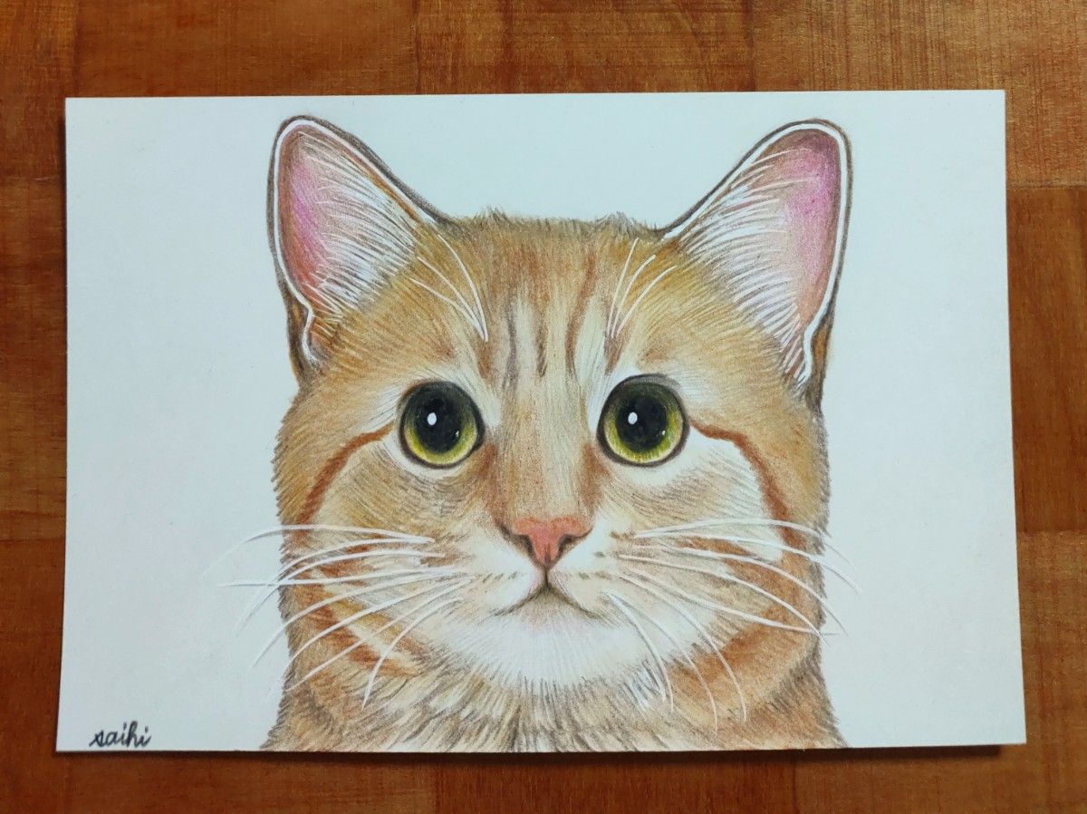 茶トラ猫色鉛筆画|Yahoo!フリマ(旧PayPayフリマ) 茶トラ猫色鉛筆画|Yahoo!フリマ(旧PayPayフリマ)