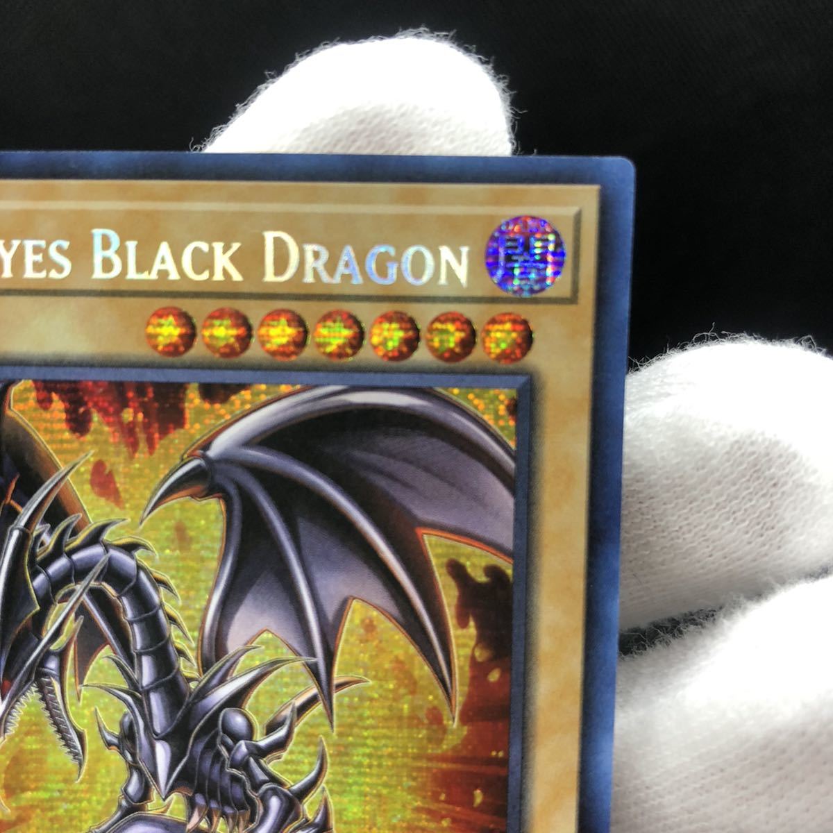 遊戯王 英語版 真紅眼の黒竜 レッドアイズブラックドラゴン 遊戯王 英語版 真紅眼の黒竜 レッドアイズブラックドラゴン