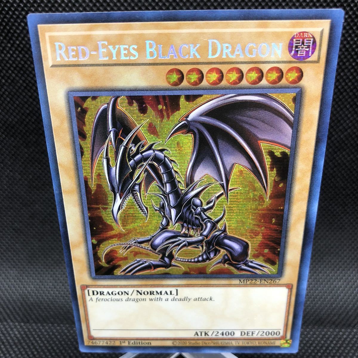遊戯王 英語版 真紅眼の黒竜 レッドアイズブラックドラゴン 遊戯王 英語版 真紅眼の黒竜 レッドアイズブラックドラゴン