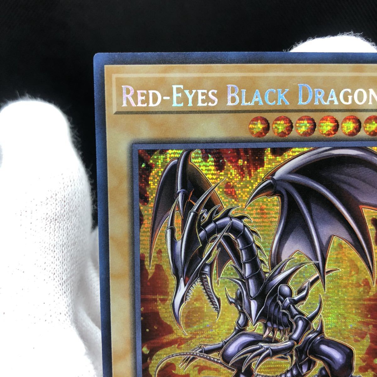 遊戯王 英語版 真紅眼の黒竜 レッドアイズブラックドラゴン 遊戯王 英語版 真紅眼の黒竜 レッドアイズブラックドラゴン