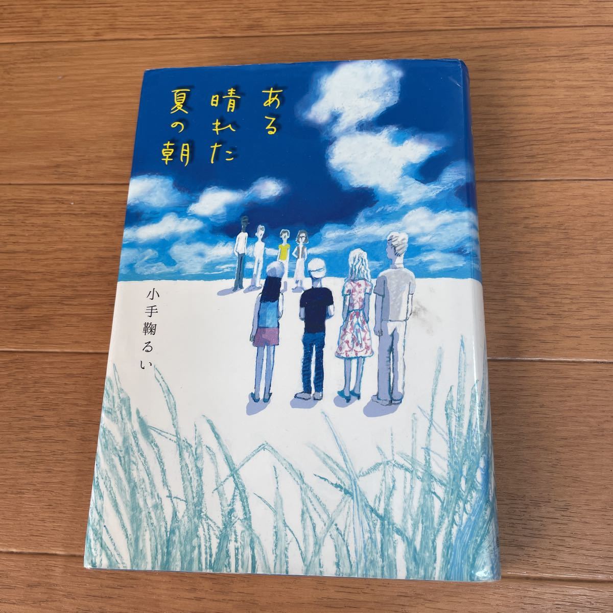 ある晴れた夏の朝　小手鞠るい 課題図書