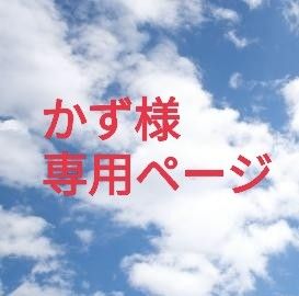 かず様 専用ページ|Yahoo!フリマ(旧PayPayフリマ)