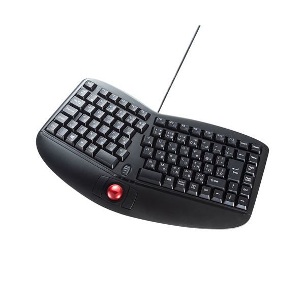 人気ブラドン サンワサプライ エルゴノミクスキーボード SKB-ERG5BK