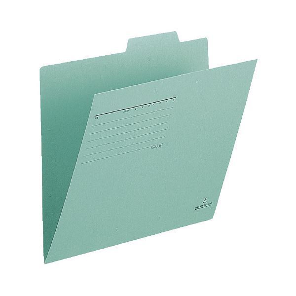 新品定番 (まとめ)プラス 持出しフォルダー FL-001PF A4E ピンク:ペットフードと健康雑貨のKOBE LIZ (業務用300セット) プラス 持出しフォルダー FL-001PF A4E ブルー