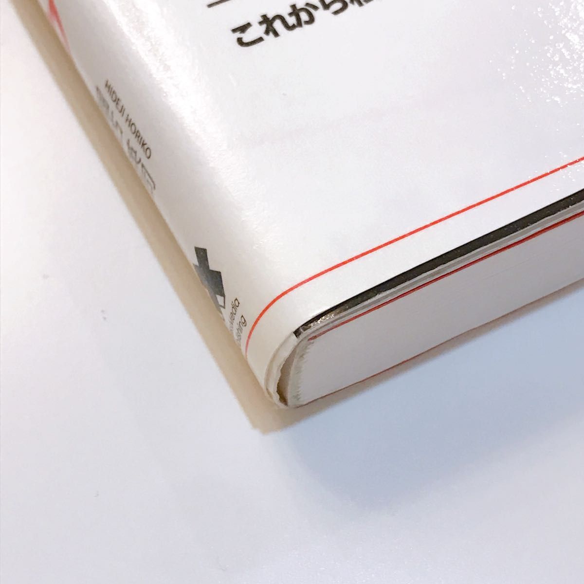 リスクを取らないリスク 堀古英司／〔著〕