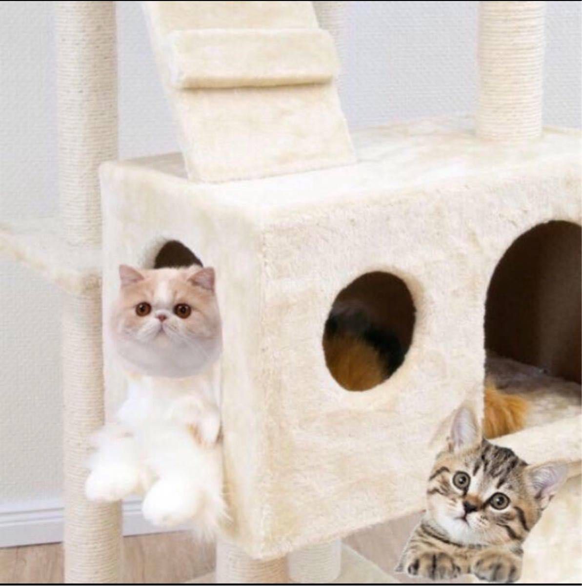 キャットタワー ベージュ猫 Cat Tower ワイドサイズ 高さ170cm