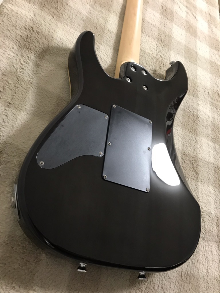 美品 Schecter NV-III-24-BW|Yahoo!フリマ(旧PayPayフリマ) 美品 Schecter NV-III-24-BW|Yahoo!フリマ(旧PayPayフリマ)