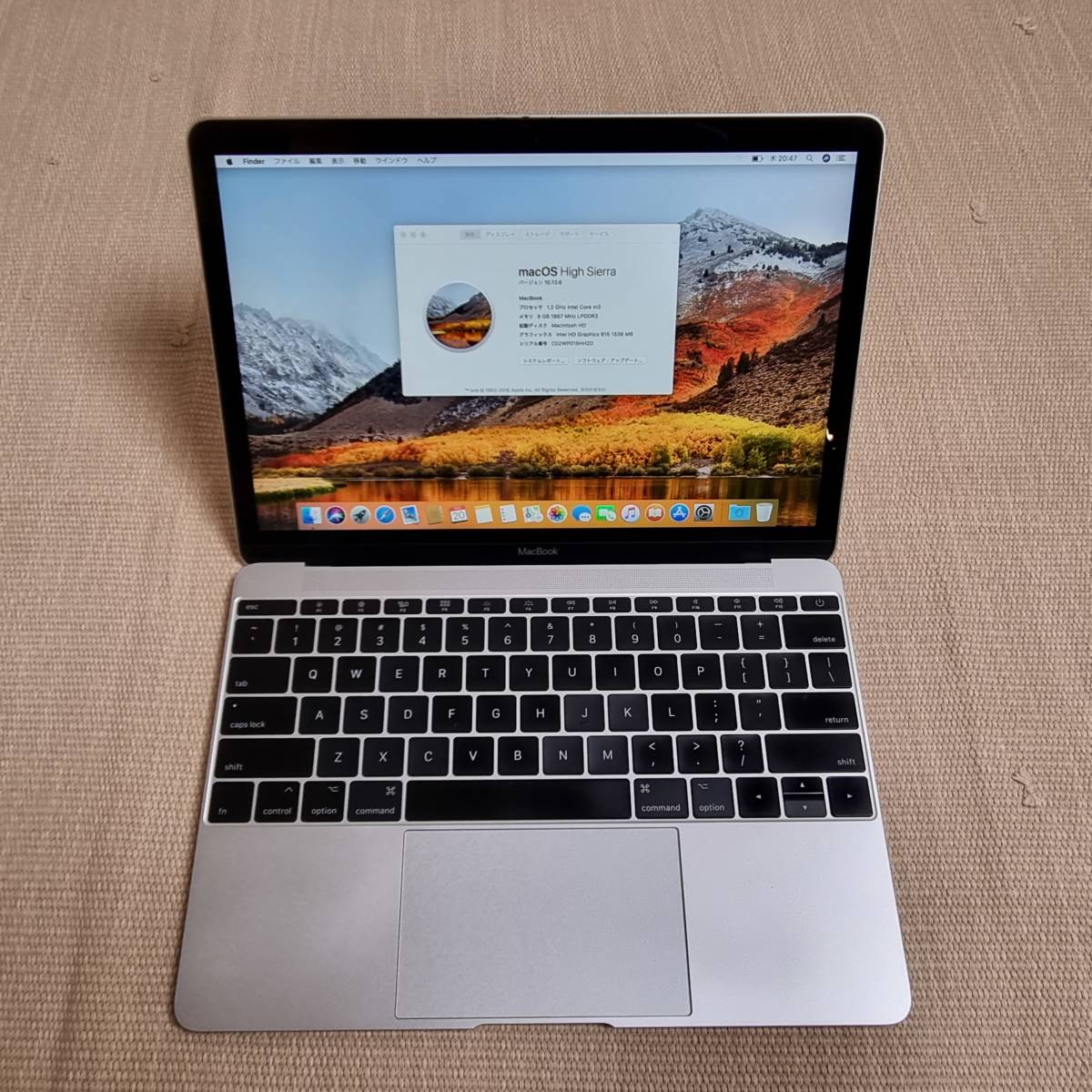 適切な価格 MacBook 12インチ 2017 Core m3 8GB 256GBSSD