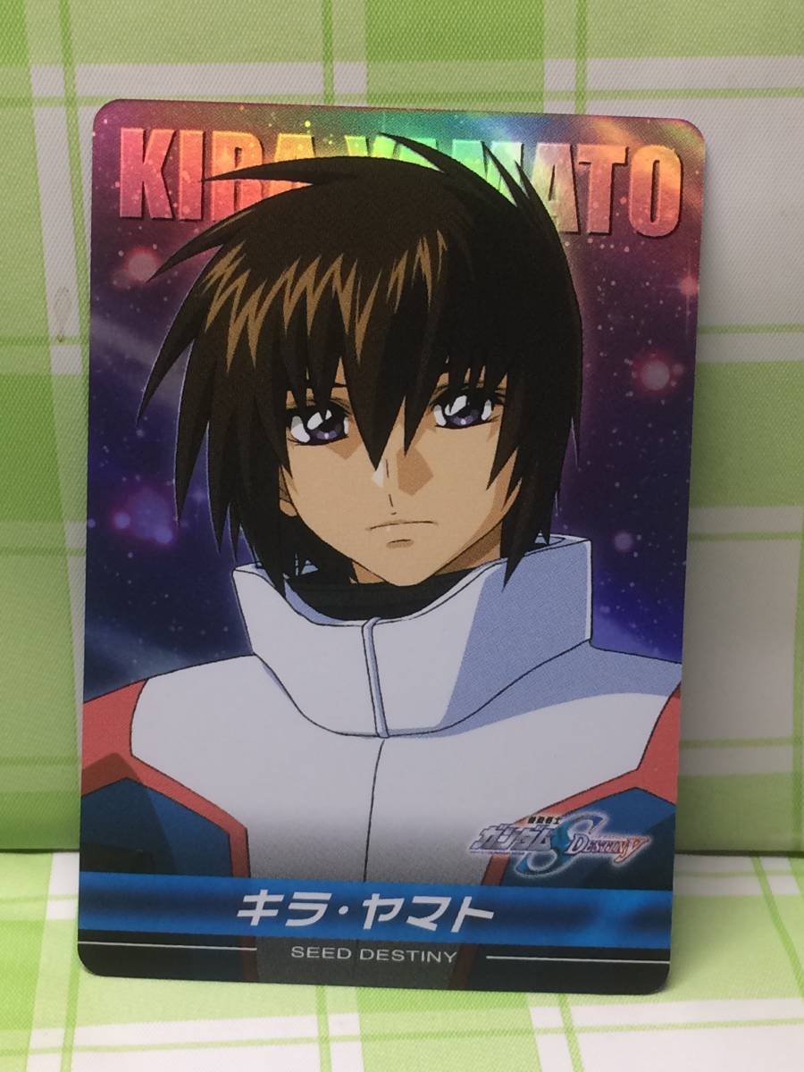 BANDAI バンダイ 機動戦士ガンダムSEED DESTINY The Complete Card 