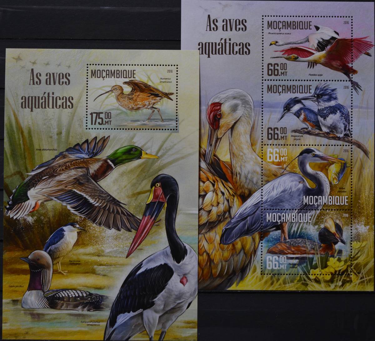 「BRR87」モザンビーク切手 2016年 鳥の画像1