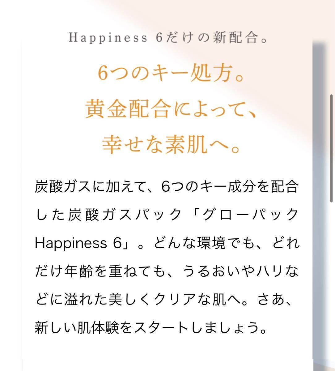 現在商品 大人気 エニシーグローパックハピネス6 2回分 お試し 新品未