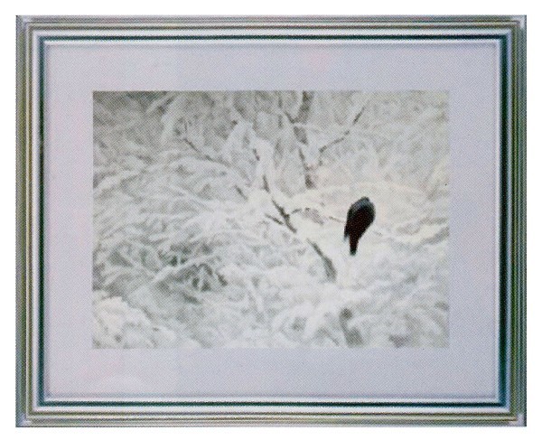 絵画 名画 複製画 フレーム 額縁付 東山魁夷 「白い朝」 F6号特寸 世界の名画シリーズ プリハード