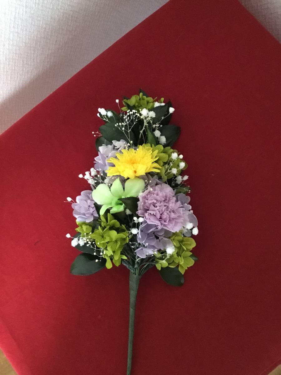 Сохраненный цветок цветок будды / фиолетовый гвоздика