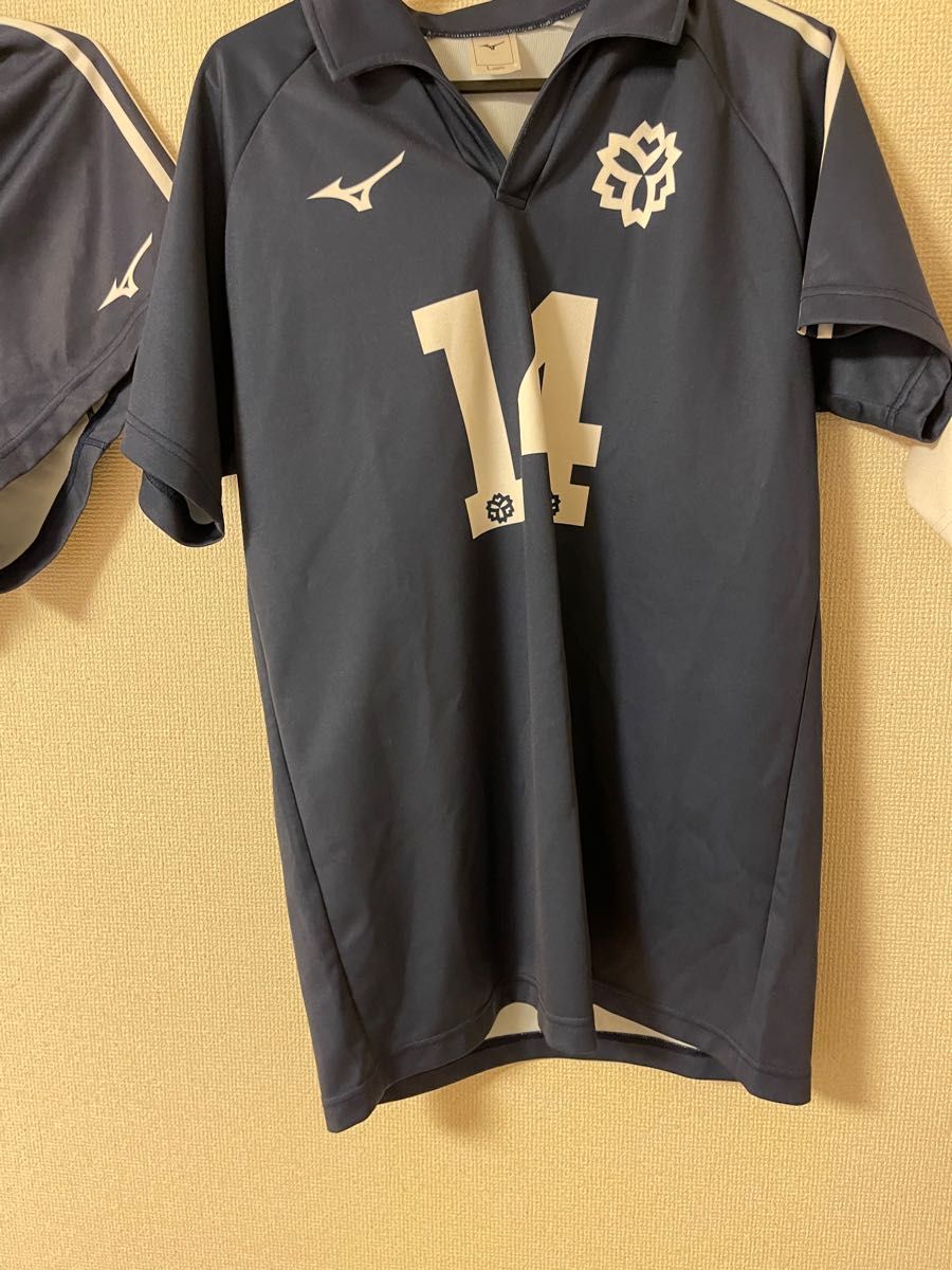 日体大 日本体育大学 NSSU バレーボール 公式ユニフォーム L 日体大 日本体育大学 NSSU バレーボール 公式ユニフォーム L