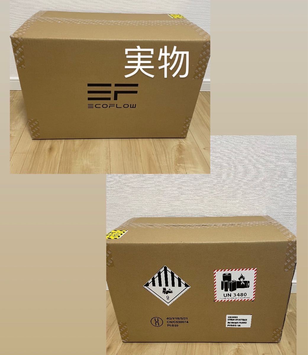 EcoFlowポータブル電源DELTA1000大容量1008Wh急速充電 発電機