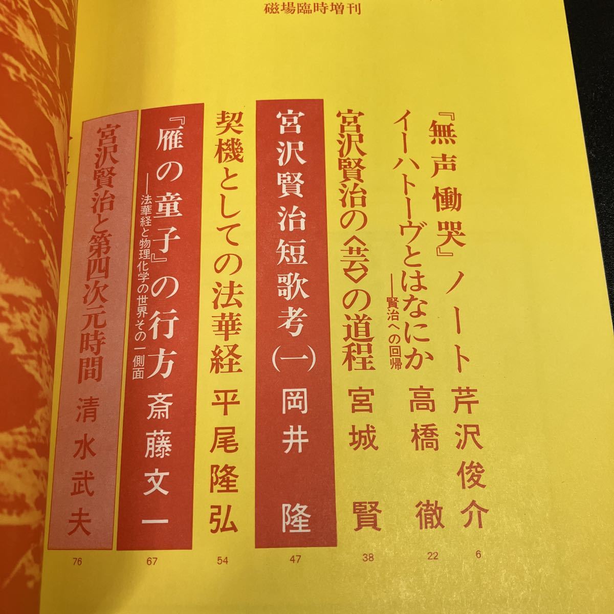 23-1-16 『 磁場 　臨時増刊 宮沢賢治特集 』昭和50年 芹沢俊介　岡井隆　清水武夫ほか　国文社_画像2