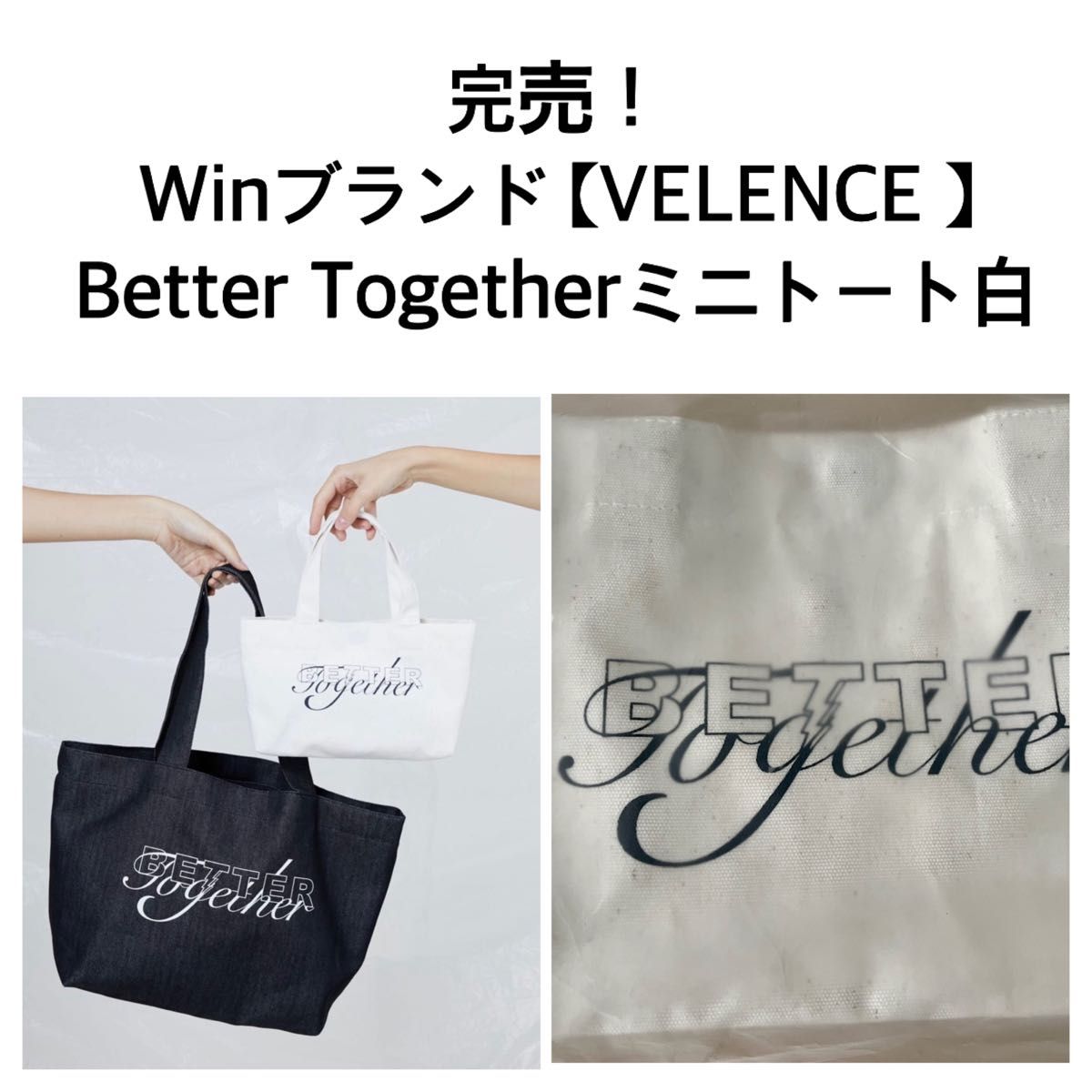 新品未開封 Winブランド VELENCE トートバック BrightWin - その他