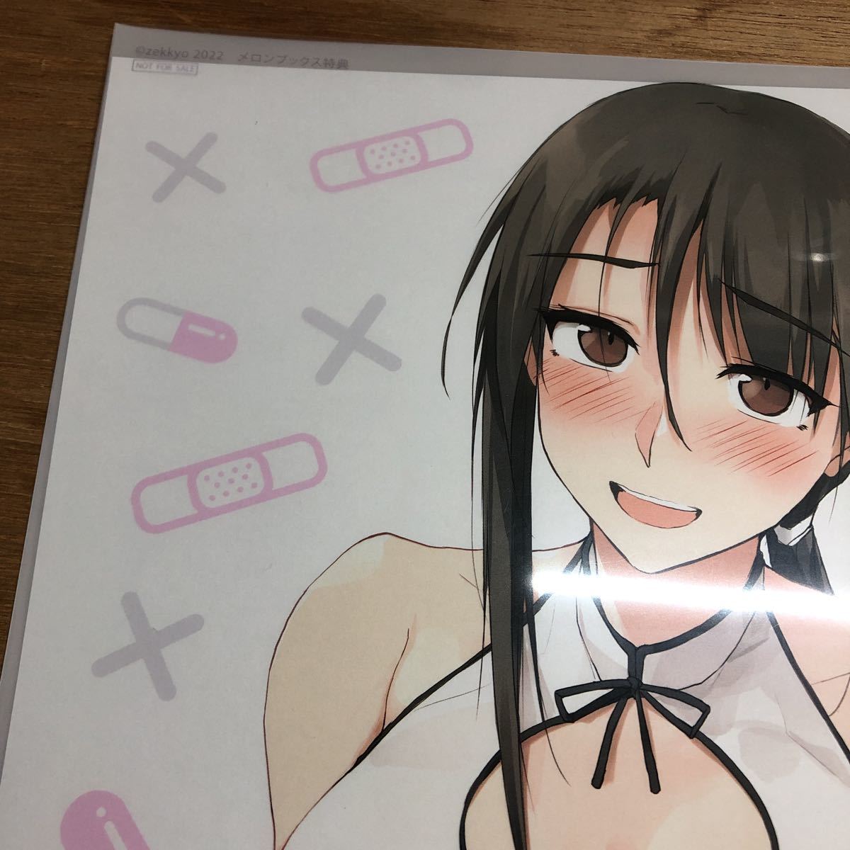  adult .... make nursing . north . san 2 volume melon books clear file 