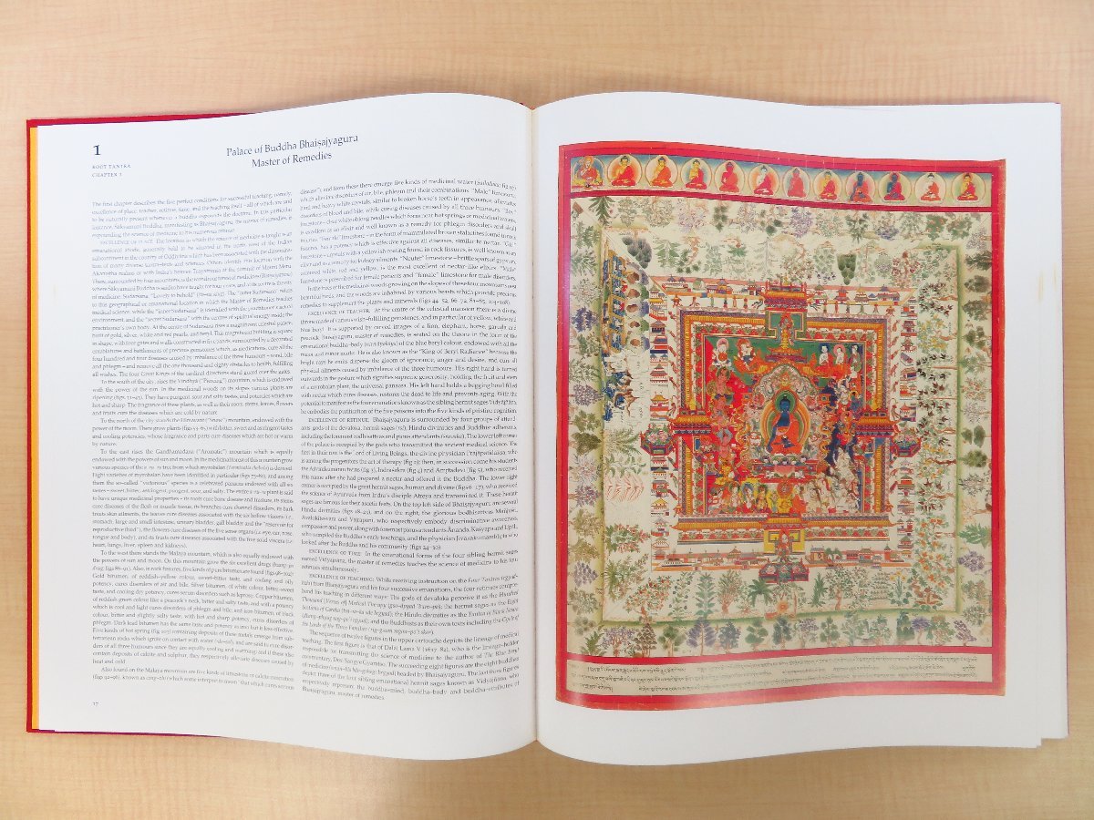 『Tibetan Medical Paintings』(全2冊揃)1992年Abrams刊 チベット密教医学絵巻 タンカ チベット密教美術 仏教美術 仏画 曼荼羅図_画像3