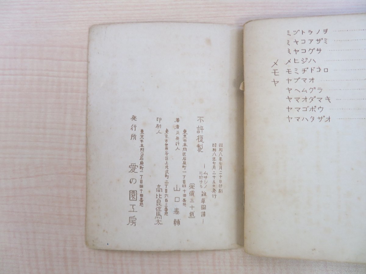 山口泰輔著 賀川豊彦序『ムサシノに於ける雑草図譜』昭和8年 愛の園工房刊 賀川豊彦主宰雑草園の植物図譜 植物画譜 ボタニカルアート_画像10