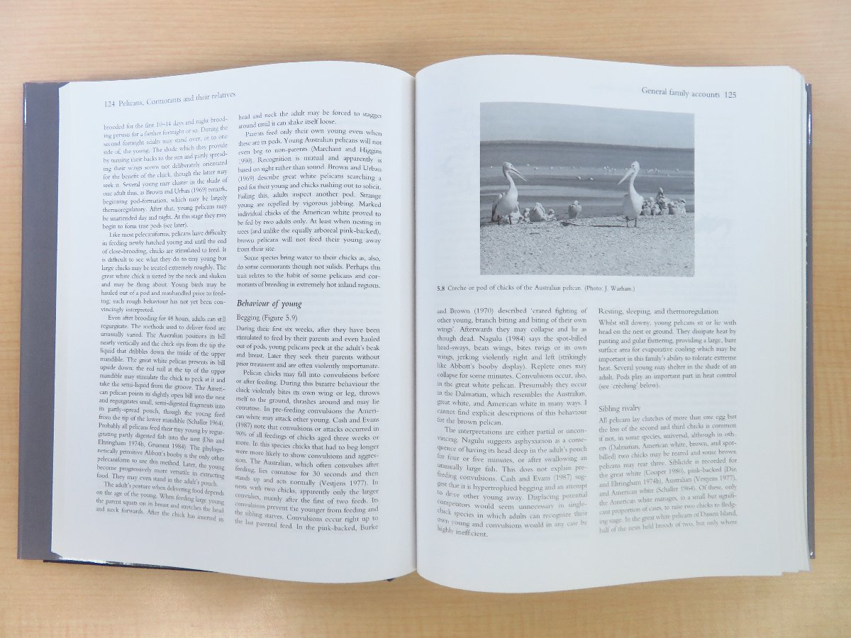 オックスフォード大学出版部刊 世界鳥類ガイドブック兼研究書「Bird Families of the World」シリーズ6冊セット - その他 オックスフォード大学出版部刊 世界鳥類ガイドブック兼研究書「Bird Families of the World」シリーズ6冊セット - その他