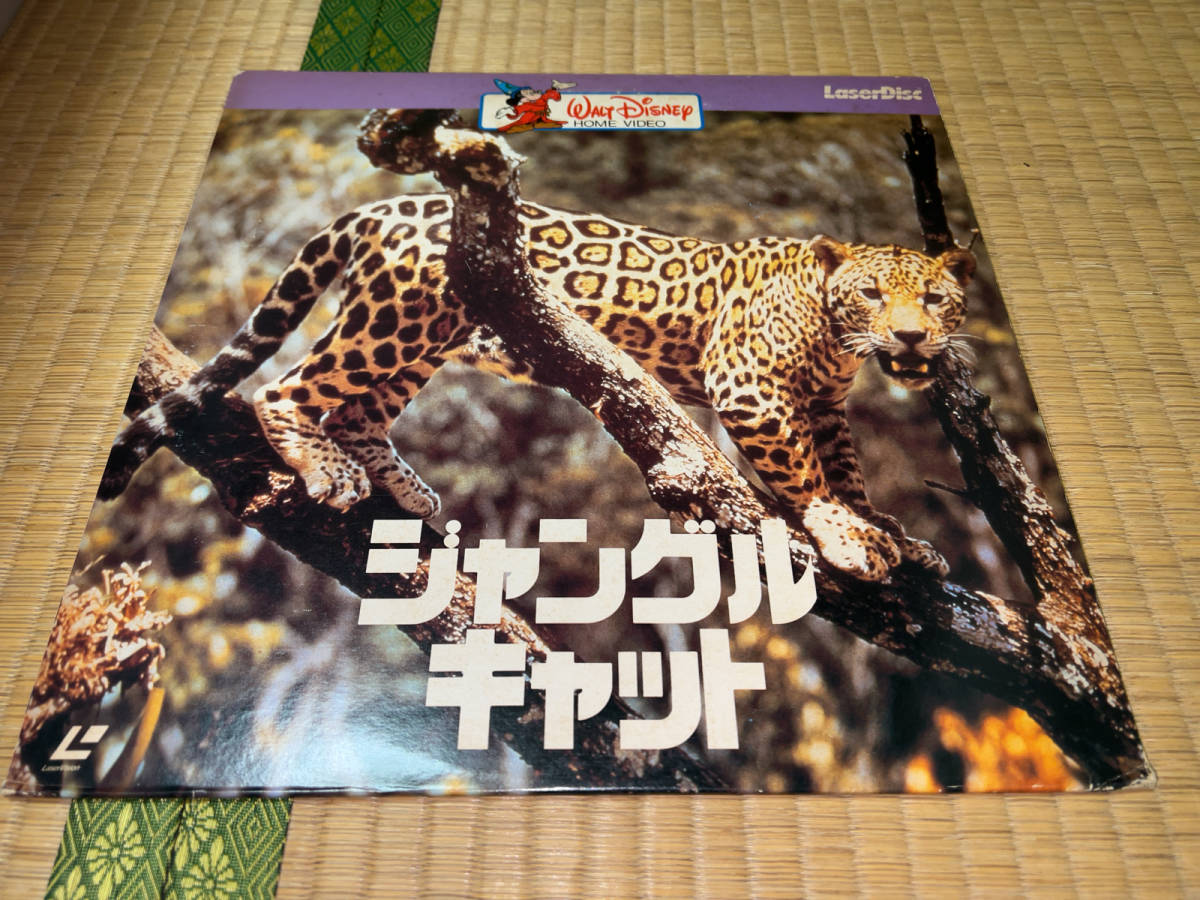 絶品】 CAT JUNGLE / LD「パイオニア ○ (ジャングル・キャット) 1960