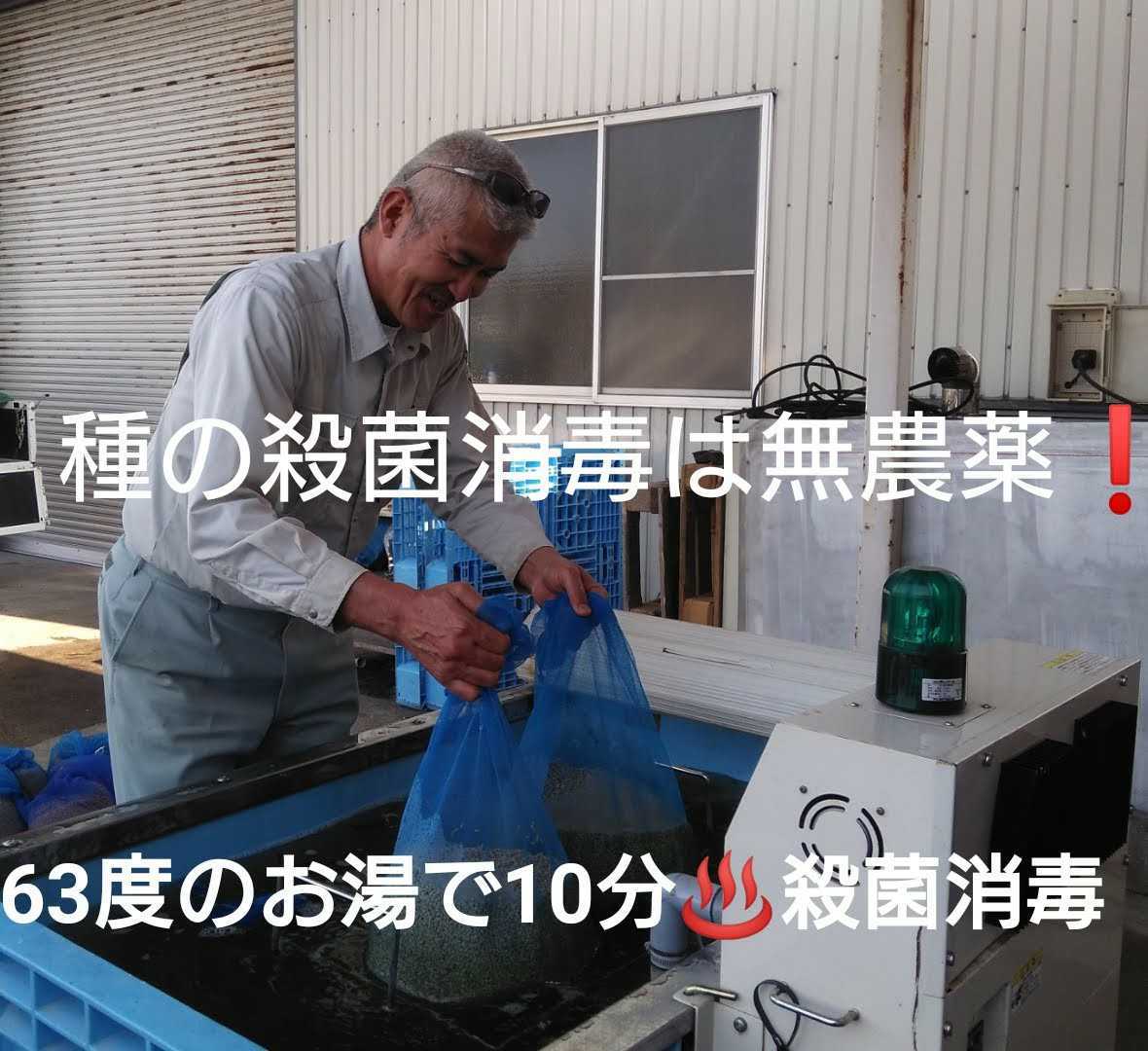 自然栽培米 無農薬 氷温熟成 ひとめぼれ ４年産 山形県産 庄内米 玄米 25kg(正味24.6kg)_画像5