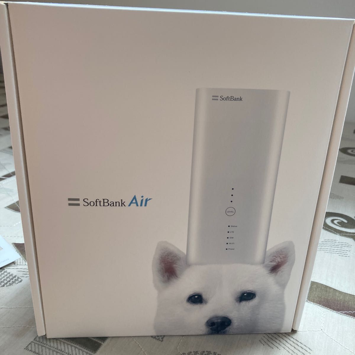 SoftBank Air ターミナル4