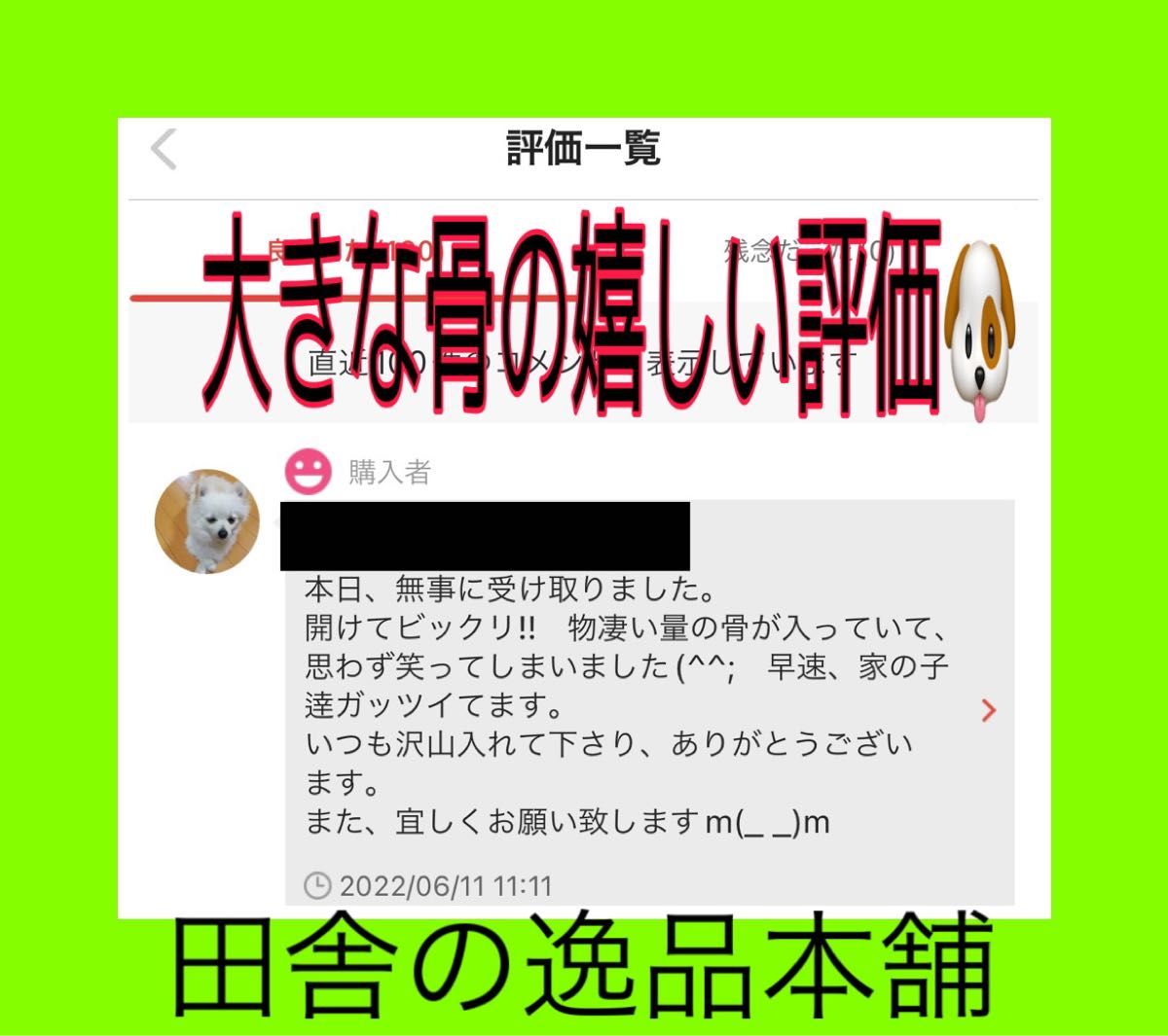 ★中型犬から大型犬用★鹿の骨・猪の骨詰め合わせ 4980円セット 800g以上