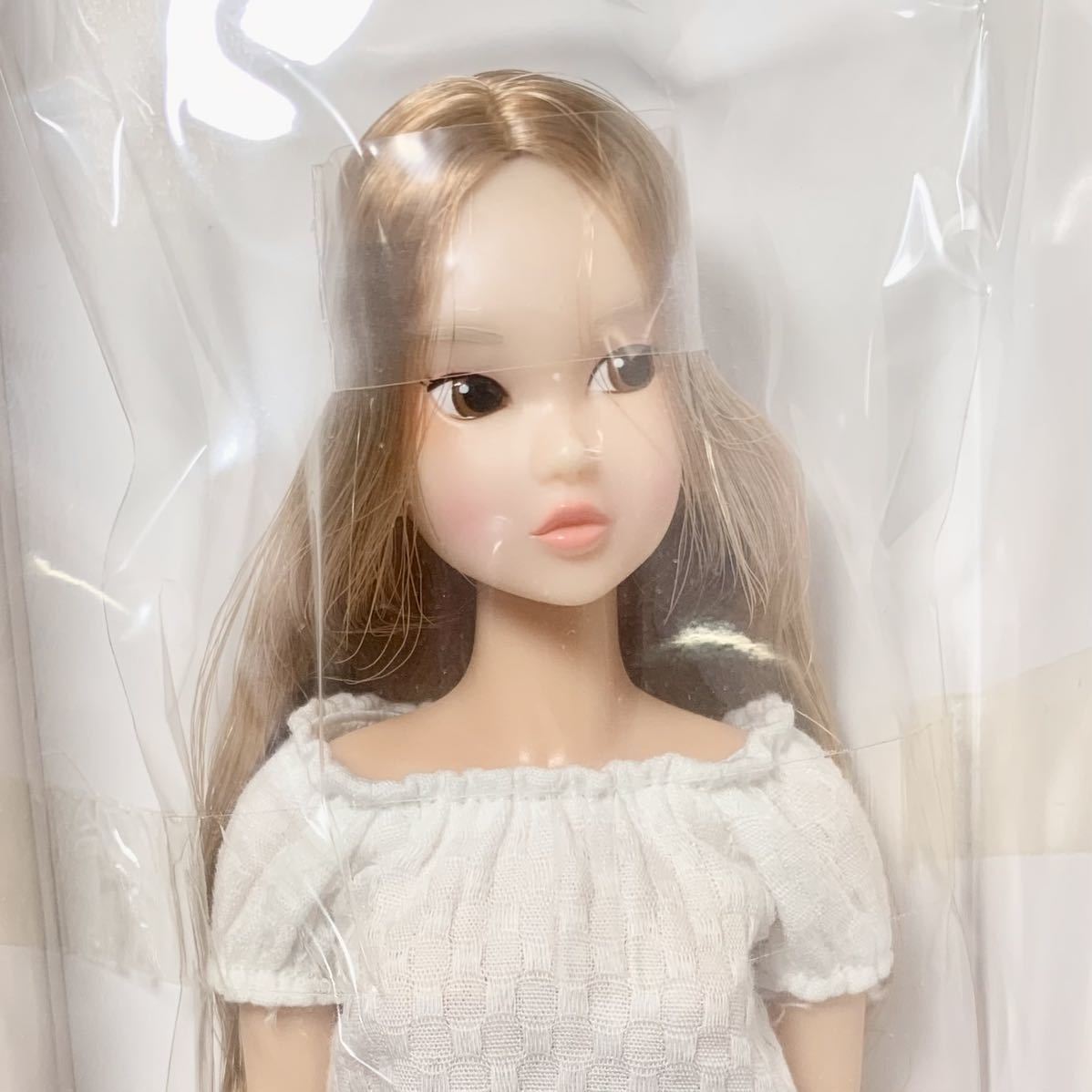 Today's momoko 1702 新品未開封 PetWorks ペットワークス ccs momoko