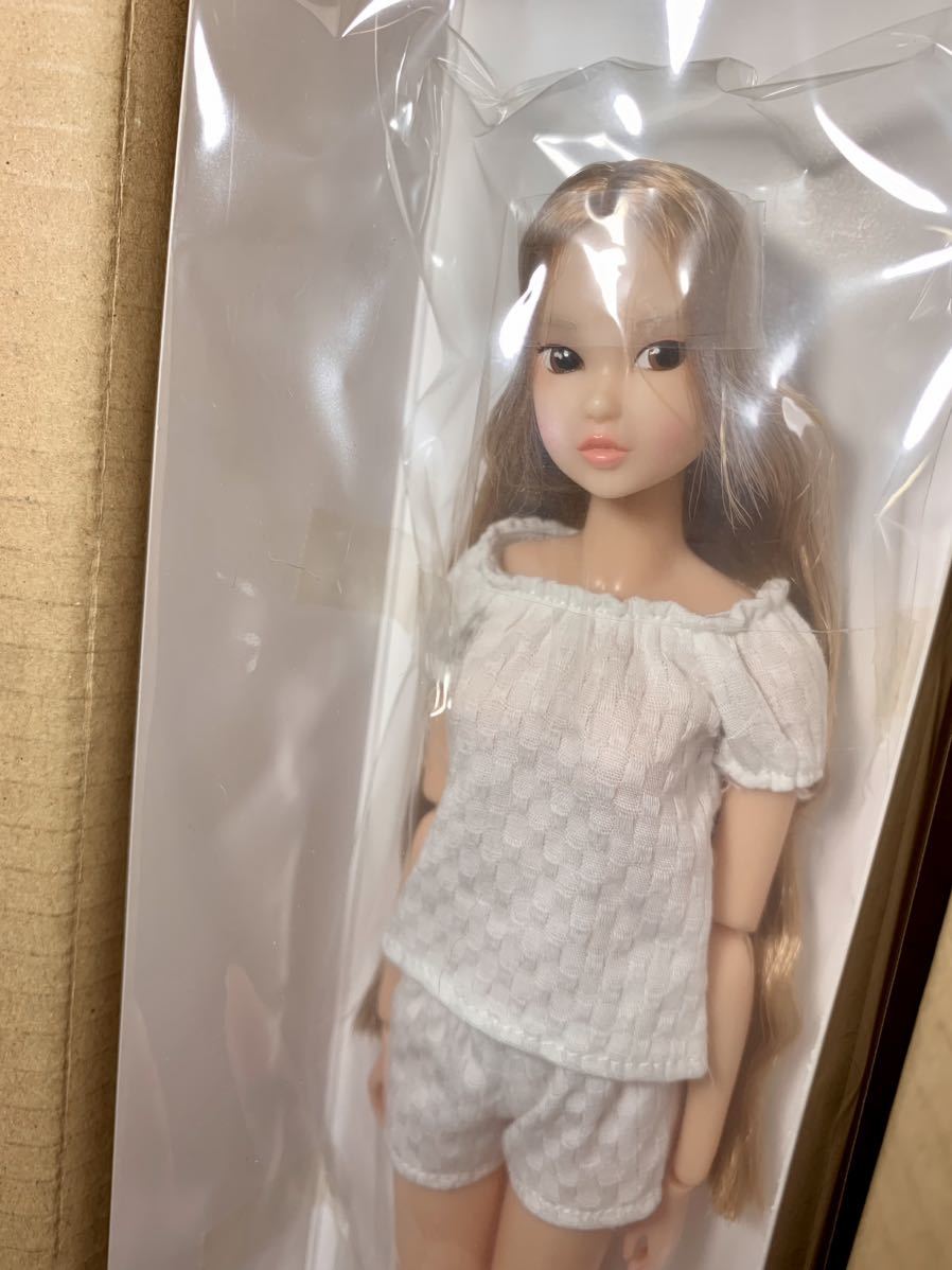 Today's momoko 1702 新品未開封 PetWorks ペットワークス ccs momoko