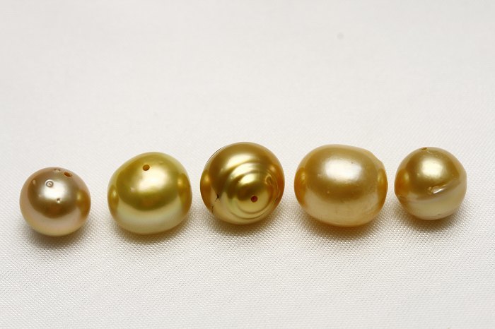 南洋白蝶真珠パールルース　両穴　5ピース　10-9mm　ナチュラルゴールドカラー_画像1