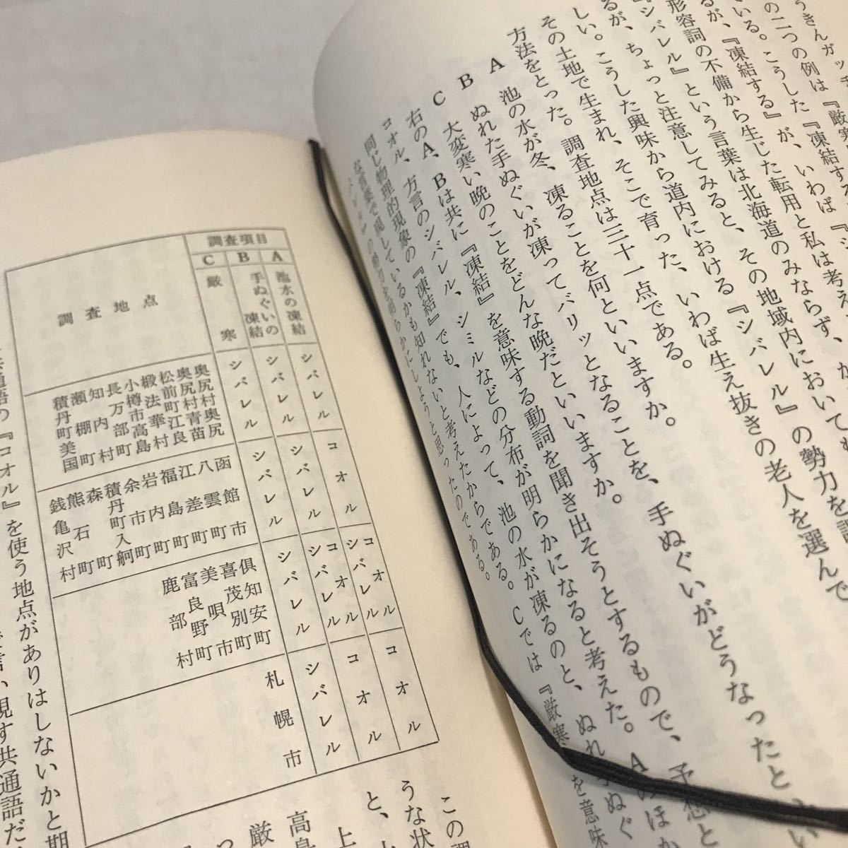 230119◎N10◎ 日本語と北海道方言　石垣福雄/著　1976年3月発行　北海道新聞社　海岸の言葉/内陸部の言葉/雪国の言葉_画像8